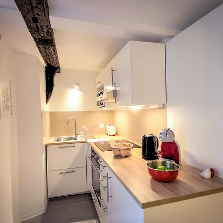 Clublord At The Petite France Apartment *