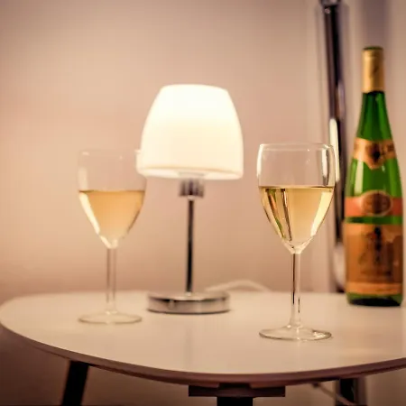 Clublord At The Petite France Apartment Strasbourg